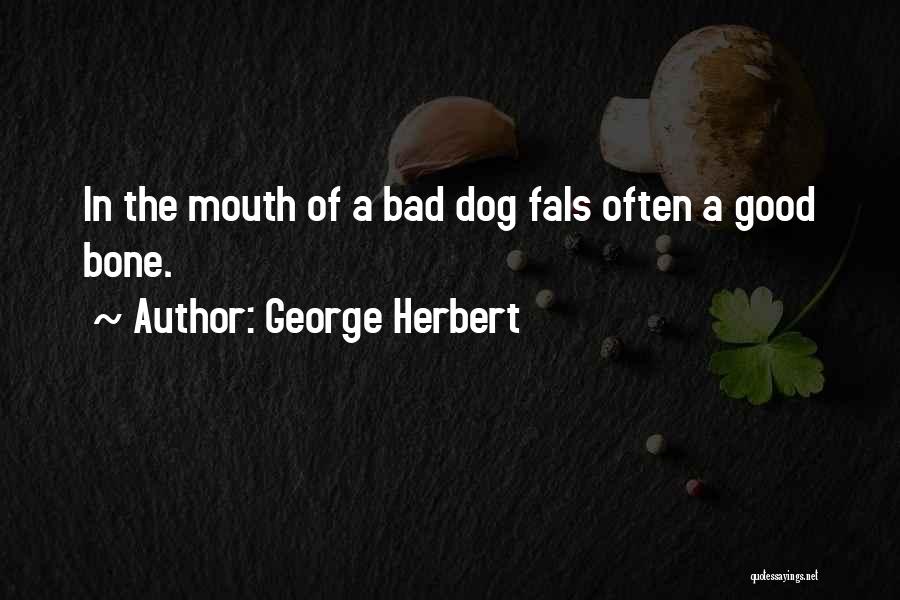 George Herbert Quotes: In The Mouth Of A Bad Dog Fals Often A Good Bone.