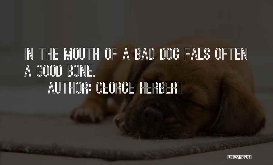 George Herbert Quotes: In The Mouth Of A Bad Dog Fals Often A Good Bone.