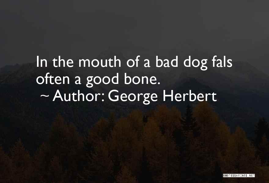 George Herbert Quotes: In The Mouth Of A Bad Dog Fals Often A Good Bone.