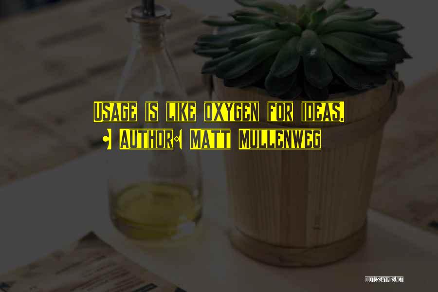 Matt Mullenweg Quotes: Usage Is Like Oxygen For Ideas.