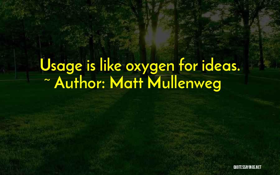 Matt Mullenweg Quotes: Usage Is Like Oxygen For Ideas.