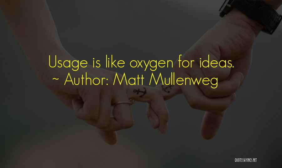 Matt Mullenweg Quotes: Usage Is Like Oxygen For Ideas.