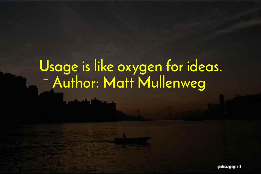Matt Mullenweg Quotes: Usage Is Like Oxygen For Ideas.