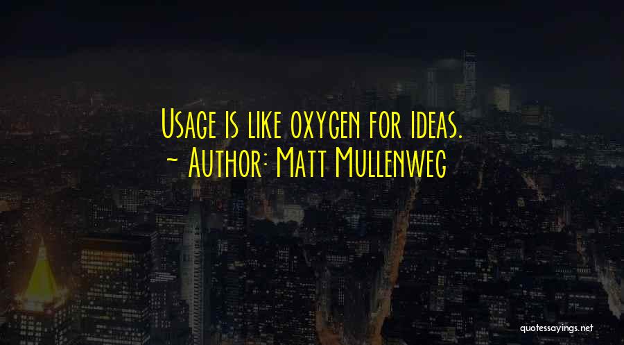 Matt Mullenweg Quotes: Usage Is Like Oxygen For Ideas.