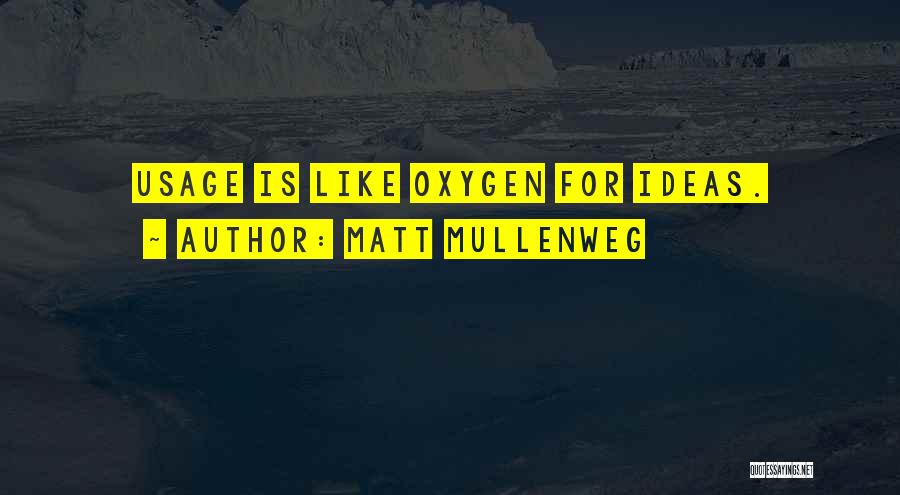 Matt Mullenweg Quotes: Usage Is Like Oxygen For Ideas.