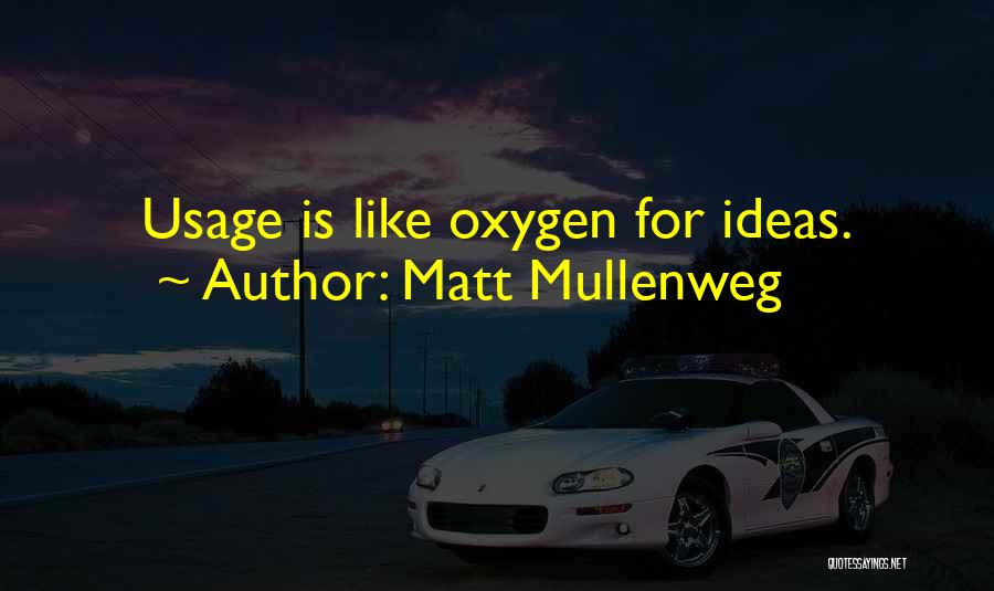 Matt Mullenweg Quotes: Usage Is Like Oxygen For Ideas.