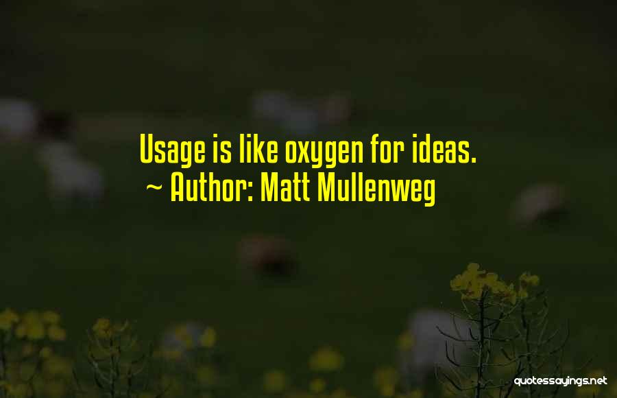 Matt Mullenweg Quotes: Usage Is Like Oxygen For Ideas.