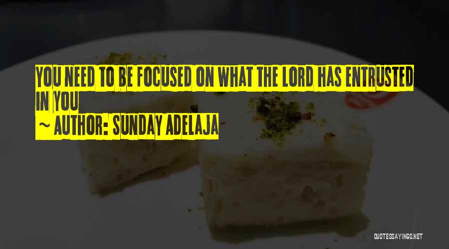 Sunday Adelaja Quotes: You Need To Be Focused On What The Lord Has Entrusted In You