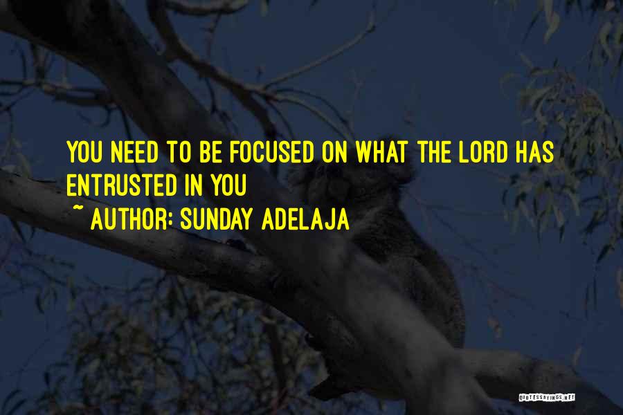 Sunday Adelaja Quotes: You Need To Be Focused On What The Lord Has Entrusted In You