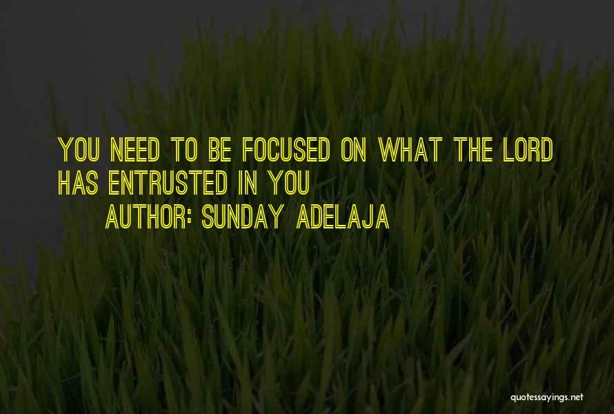 Sunday Adelaja Quotes: You Need To Be Focused On What The Lord Has Entrusted In You