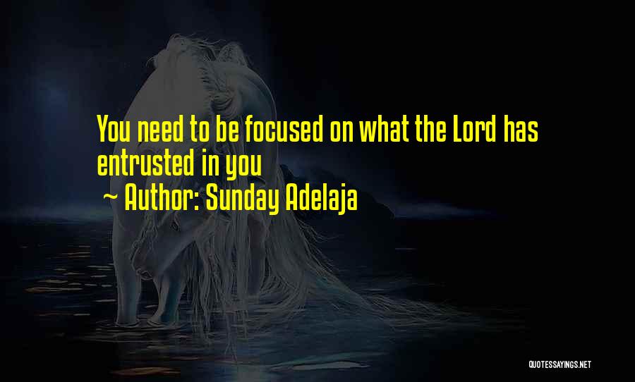 Sunday Adelaja Quotes: You Need To Be Focused On What The Lord Has Entrusted In You