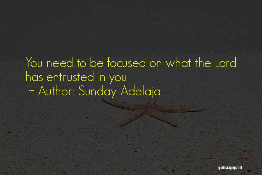 Sunday Adelaja Quotes: You Need To Be Focused On What The Lord Has Entrusted In You