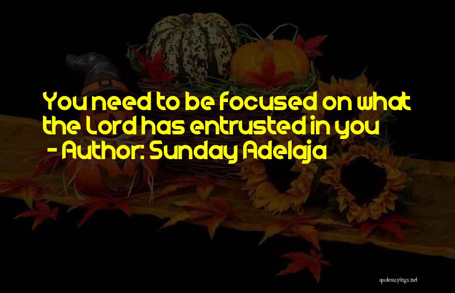 Sunday Adelaja Quotes: You Need To Be Focused On What The Lord Has Entrusted In You