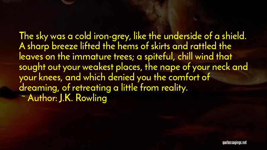 J.K. Rowling Quotes: The Sky Was A Cold Iron-grey, Like The Underside Of A Shield. A Sharp Breeze Lifted The Hems Of Skirts