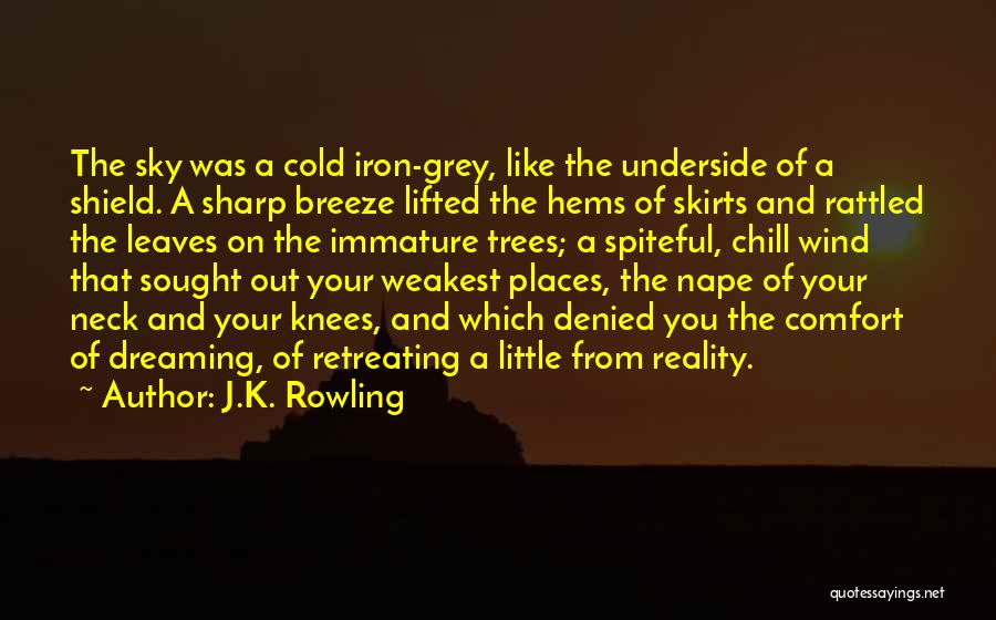 J.K. Rowling Quotes: The Sky Was A Cold Iron-grey, Like The Underside Of A Shield. A Sharp Breeze Lifted The Hems Of Skirts