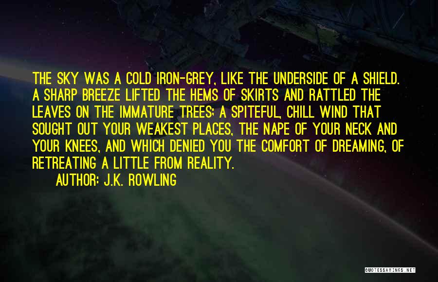 J.K. Rowling Quotes: The Sky Was A Cold Iron-grey, Like The Underside Of A Shield. A Sharp Breeze Lifted The Hems Of Skirts