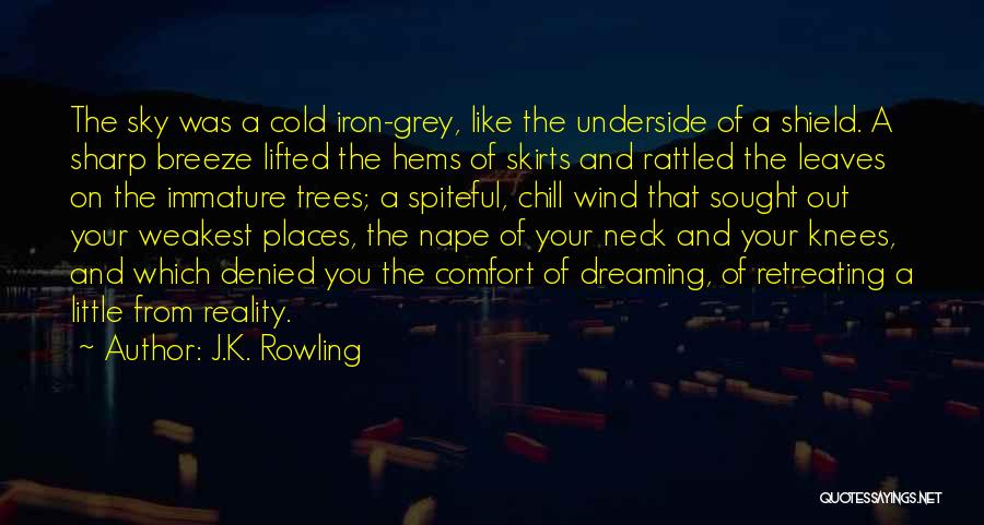 J.K. Rowling Quotes: The Sky Was A Cold Iron-grey, Like The Underside Of A Shield. A Sharp Breeze Lifted The Hems Of Skirts