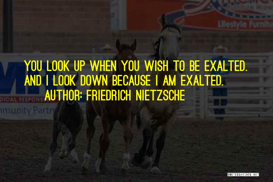 Friedrich Nietzsche Quotes: You Look Up When You Wish To Be Exalted. And I Look Down Because I Am Exalted.