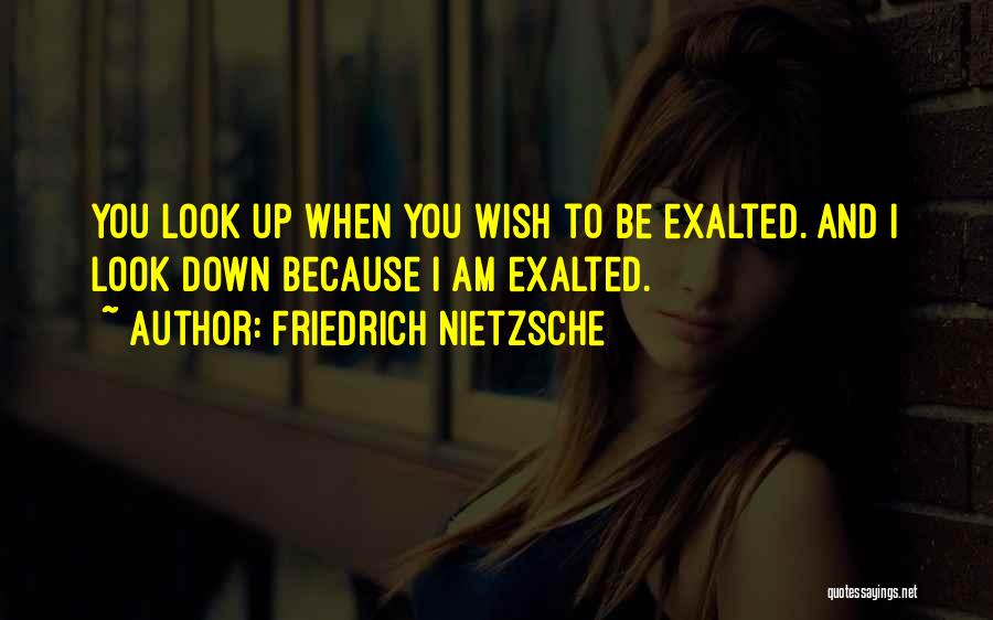 Friedrich Nietzsche Quotes: You Look Up When You Wish To Be Exalted. And I Look Down Because I Am Exalted.