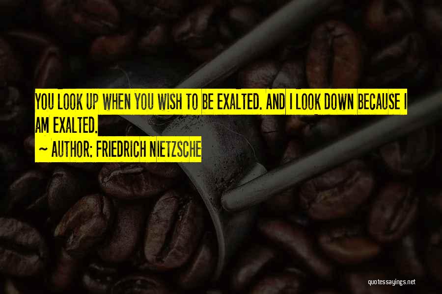 Friedrich Nietzsche Quotes: You Look Up When You Wish To Be Exalted. And I Look Down Because I Am Exalted.