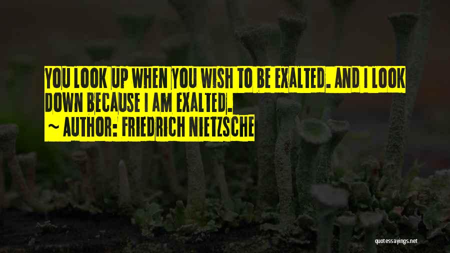 Friedrich Nietzsche Quotes: You Look Up When You Wish To Be Exalted. And I Look Down Because I Am Exalted.