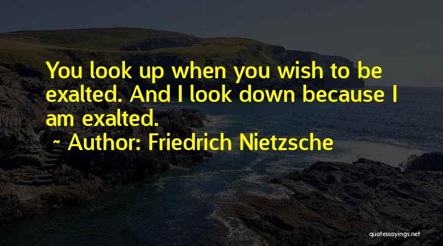 Friedrich Nietzsche Quotes: You Look Up When You Wish To Be Exalted. And I Look Down Because I Am Exalted.