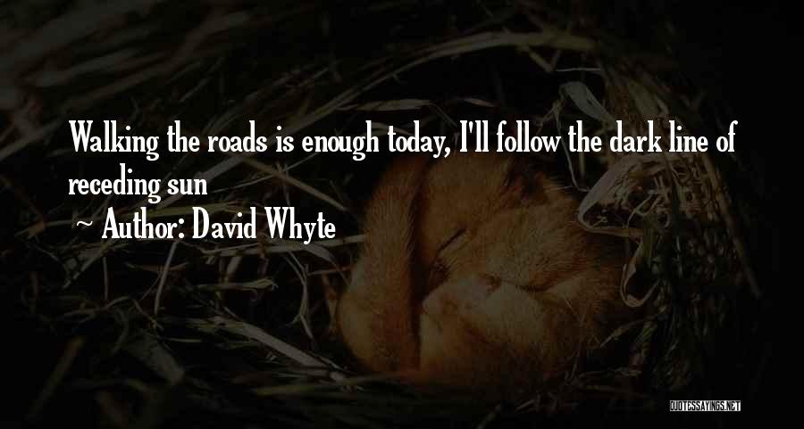 David Whyte Quotes: Walking The Roads Is Enough Today, I'll Follow The Dark Line Of Receding Sun