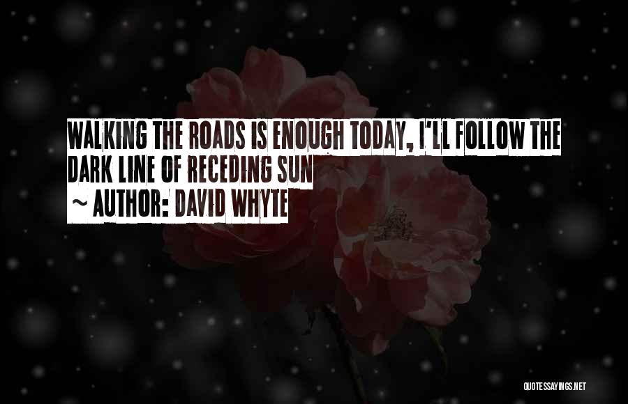 David Whyte Quotes: Walking The Roads Is Enough Today, I'll Follow The Dark Line Of Receding Sun