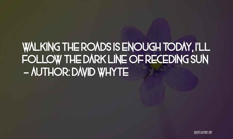 David Whyte Quotes: Walking The Roads Is Enough Today, I'll Follow The Dark Line Of Receding Sun