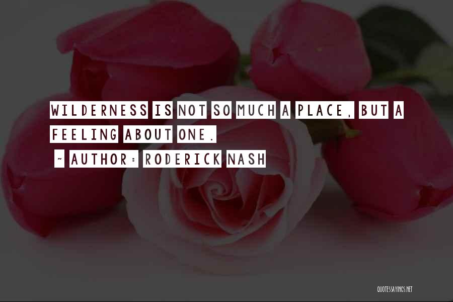 Roderick Nash Quotes: Wilderness Is Not So Much A Place, But A Feeling About One.