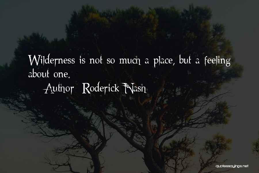 Roderick Nash Quotes: Wilderness Is Not So Much A Place, But A Feeling About One.