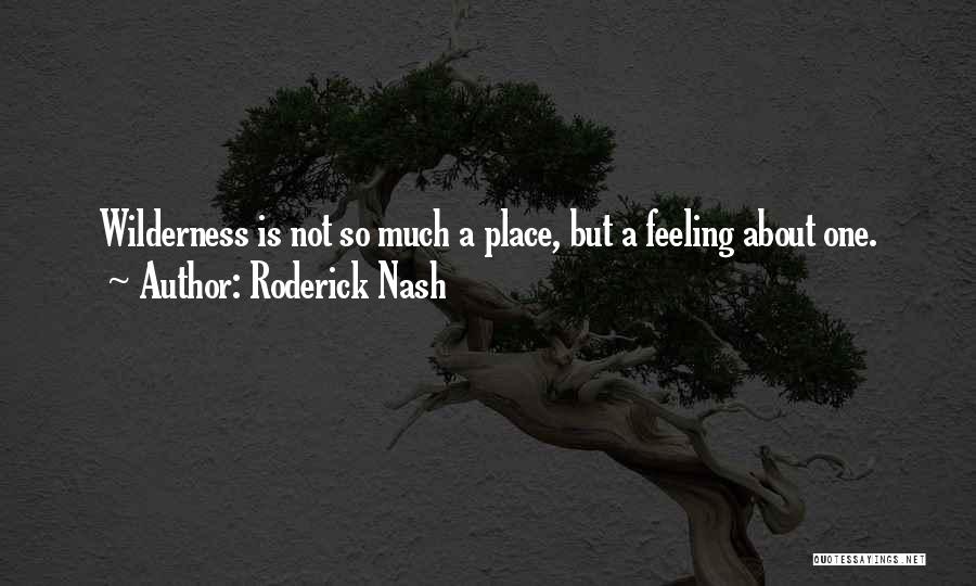 Roderick Nash Quotes: Wilderness Is Not So Much A Place, But A Feeling About One.