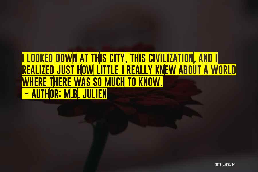 M.B. Julien Quotes: I Looked Down At This City, This Civilization, And I Realized Just How Little I Really Knew About A World