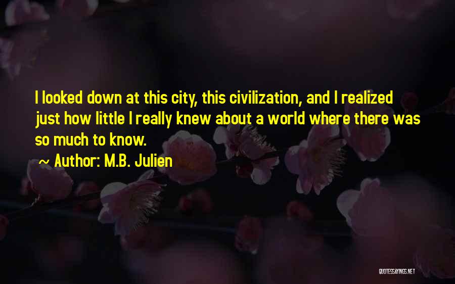 M.B. Julien Quotes: I Looked Down At This City, This Civilization, And I Realized Just How Little I Really Knew About A World