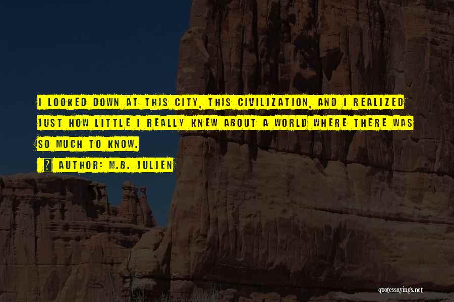 M.B. Julien Quotes: I Looked Down At This City, This Civilization, And I Realized Just How Little I Really Knew About A World