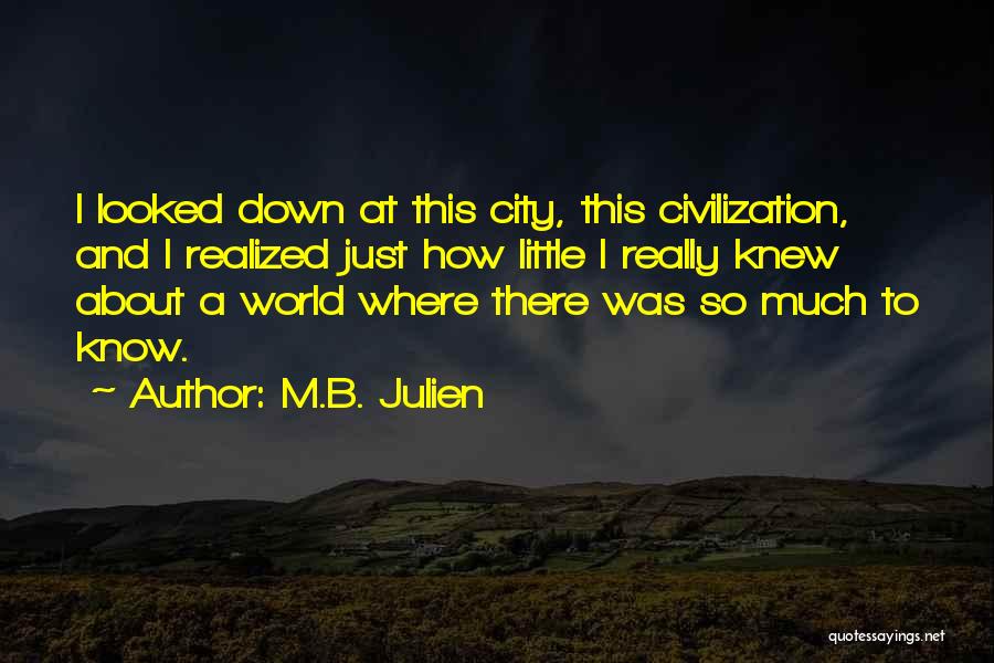 M.B. Julien Quotes: I Looked Down At This City, This Civilization, And I Realized Just How Little I Really Knew About A World