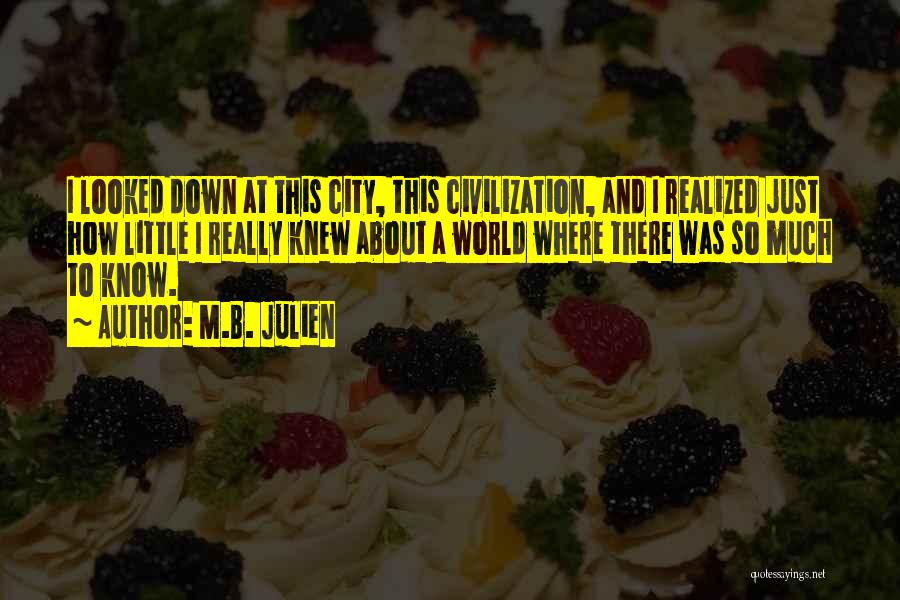 M.B. Julien Quotes: I Looked Down At This City, This Civilization, And I Realized Just How Little I Really Knew About A World