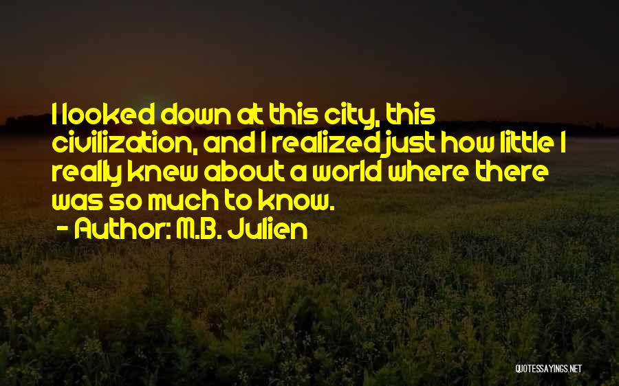 M.B. Julien Quotes: I Looked Down At This City, This Civilization, And I Realized Just How Little I Really Knew About A World