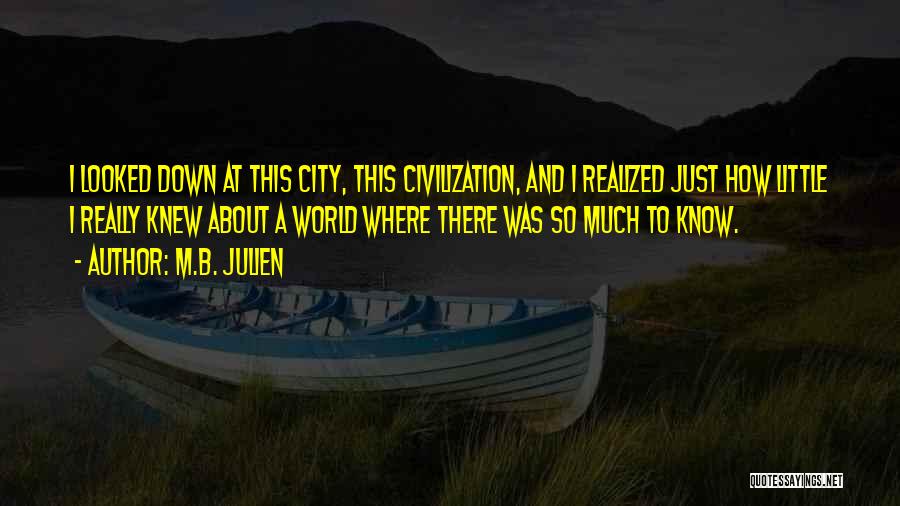 M.B. Julien Quotes: I Looked Down At This City, This Civilization, And I Realized Just How Little I Really Knew About A World