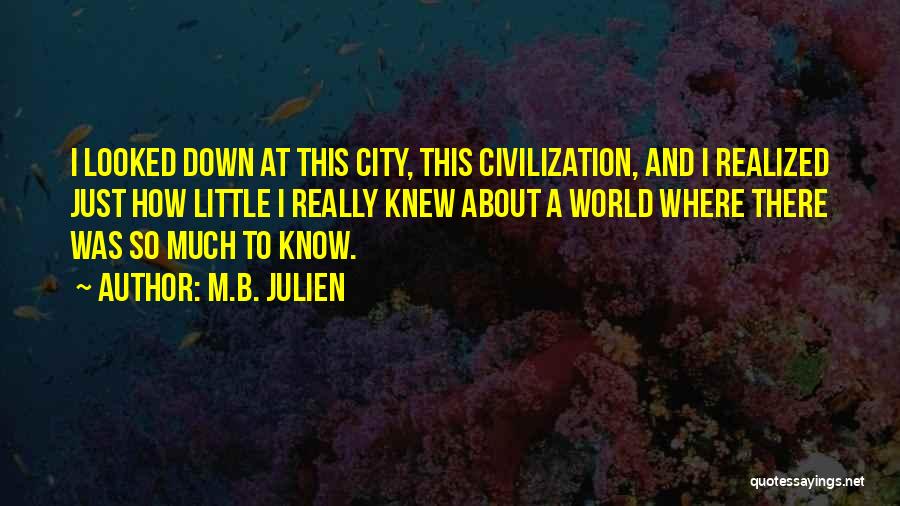 M.B. Julien Quotes: I Looked Down At This City, This Civilization, And I Realized Just How Little I Really Knew About A World