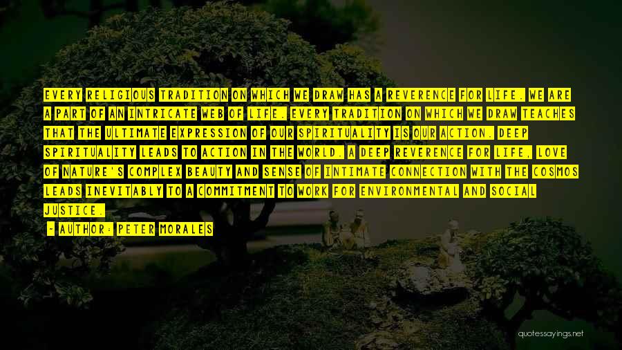 Peter Morales Quotes: Every Religious Tradition On Which We Draw Has A Reverence For Life. We Are A Part Of An Intricate Web