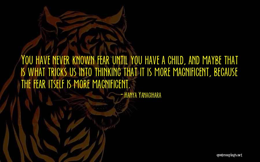 33 Butterflies Quotes By Hanya Yanagihara 33 Butterflies Quotes By Hanya Yanagihara
