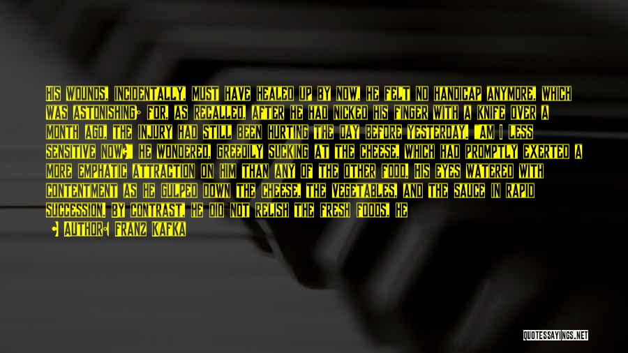 Franz Kafka Quotes: His Wounds, Incidentally, Must Have Healed Up By Now, He Felt No Handicap Anymore, Which Was Astonishing; For, As Recalled,
