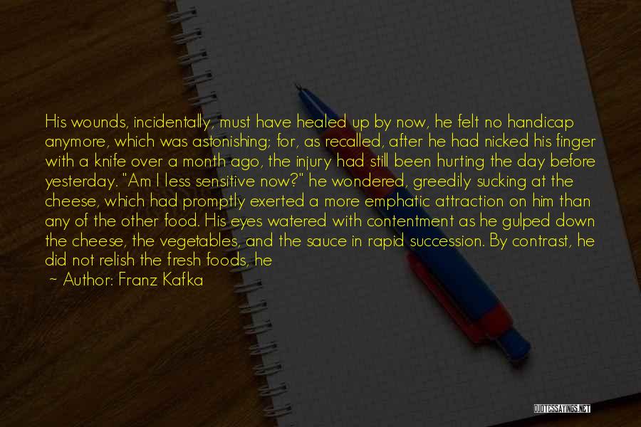 Franz Kafka Quotes: His Wounds, Incidentally, Must Have Healed Up By Now, He Felt No Handicap Anymore, Which Was Astonishing; For, As Recalled,