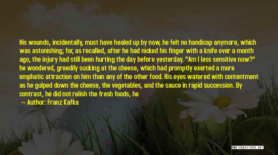 Franz Kafka Quotes: His Wounds, Incidentally, Must Have Healed Up By Now, He Felt No Handicap Anymore, Which Was Astonishing; For, As Recalled,