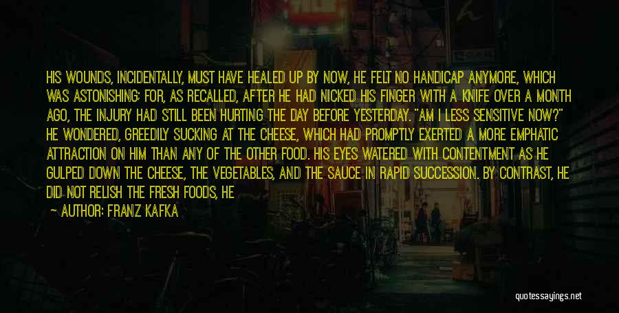 Franz Kafka Quotes: His Wounds, Incidentally, Must Have Healed Up By Now, He Felt No Handicap Anymore, Which Was Astonishing; For, As Recalled,