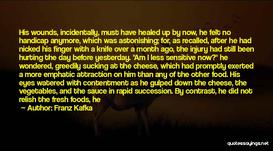 Franz Kafka Quotes: His Wounds, Incidentally, Must Have Healed Up By Now, He Felt No Handicap Anymore, Which Was Astonishing; For, As Recalled,