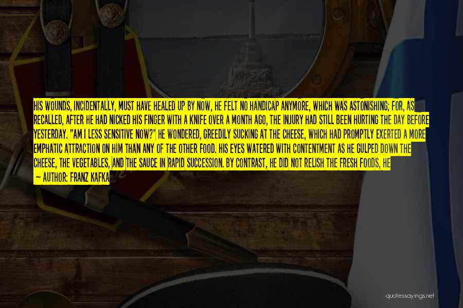 Franz Kafka Quotes: His Wounds, Incidentally, Must Have Healed Up By Now, He Felt No Handicap Anymore, Which Was Astonishing; For, As Recalled,