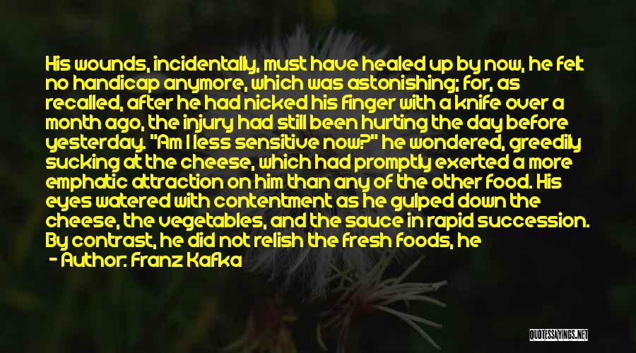 Franz Kafka Quotes: His Wounds, Incidentally, Must Have Healed Up By Now, He Felt No Handicap Anymore, Which Was Astonishing; For, As Recalled,