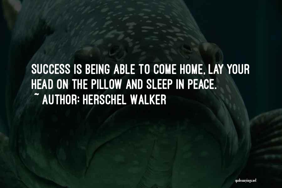 Herschel Walker Quotes: Success Is Being Able To Come Home, Lay Your Head On The Pillow And Sleep In Peace.